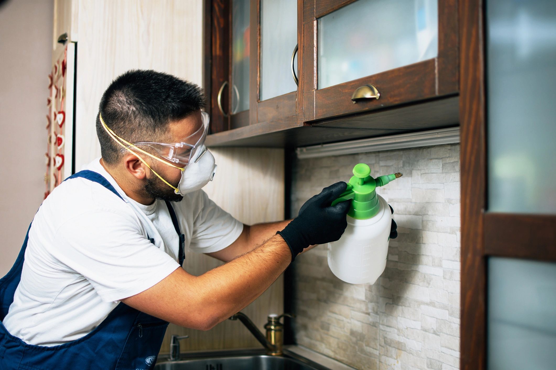 home pest prevention