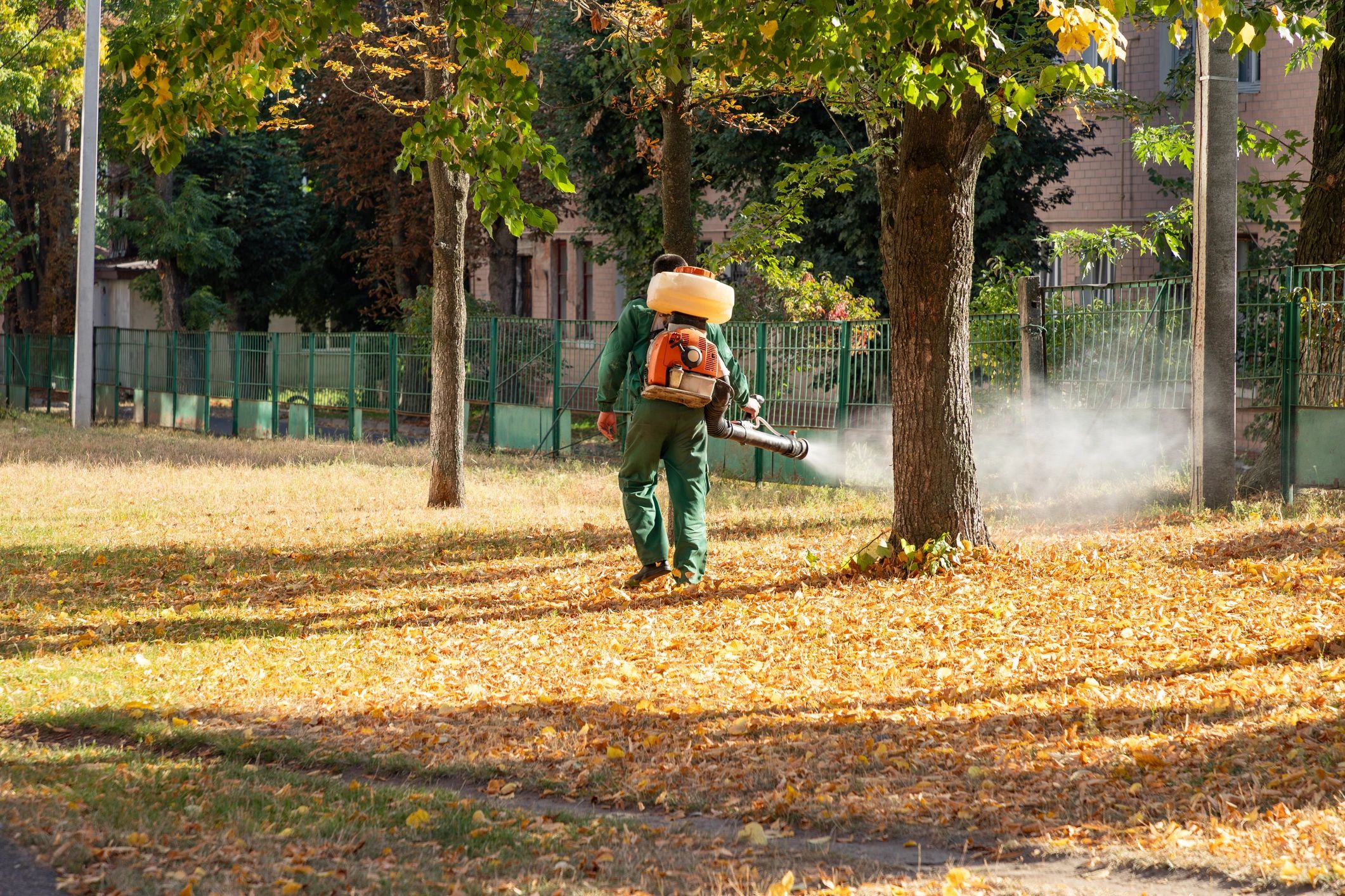 mosquito pest control
