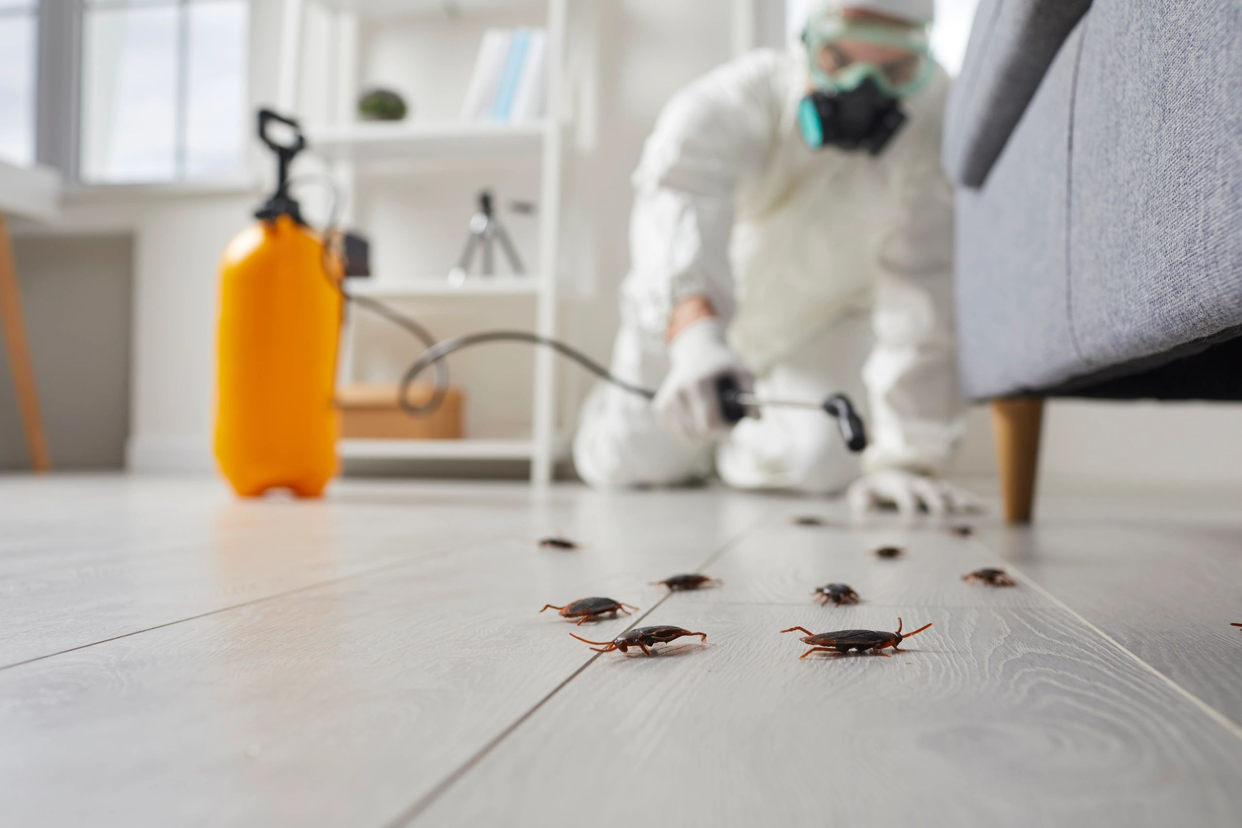 home pest prevention