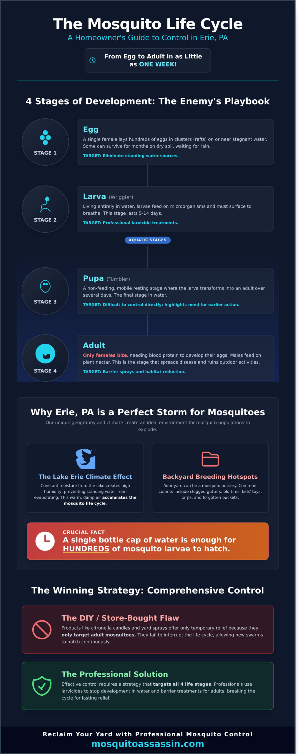 Mosquito Life Cycle and Control in Erie, PA: A Homeowner’s Guide