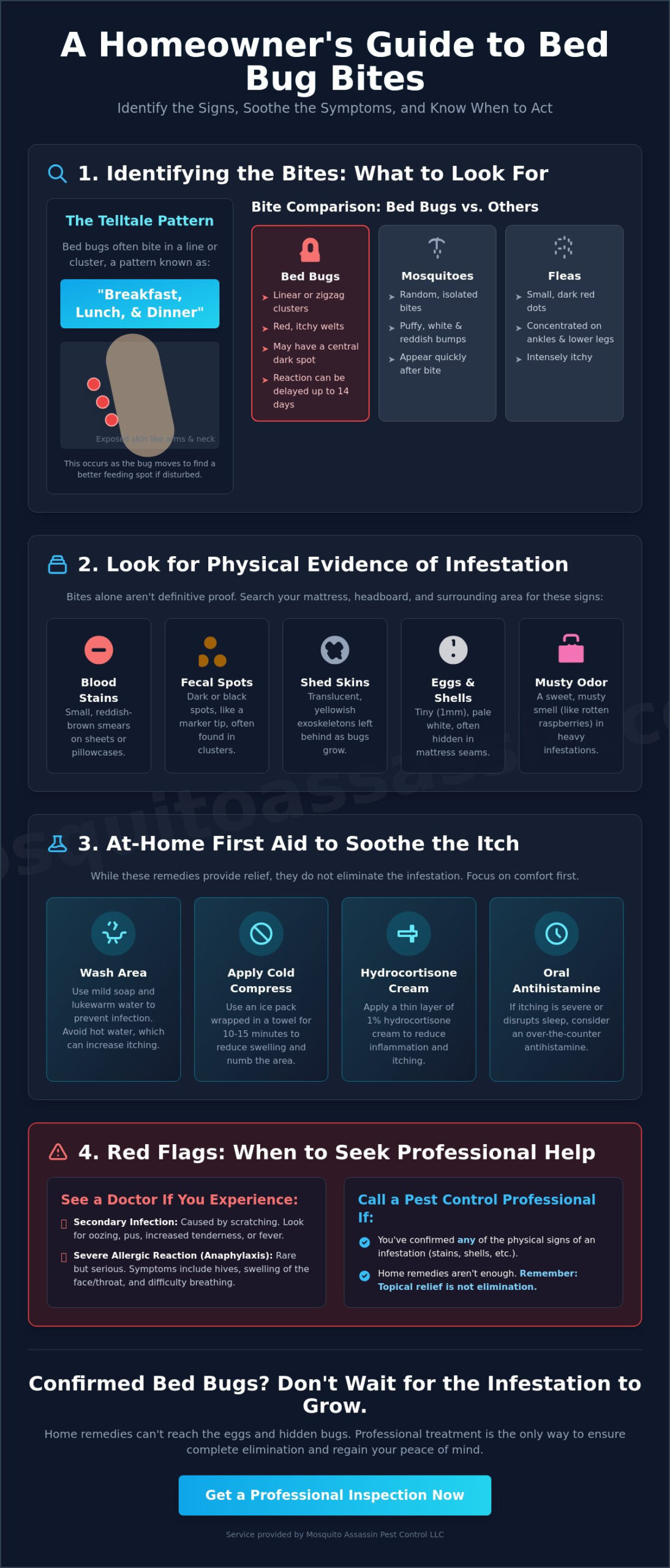 Bed Bug Bites Treatment at Home: A Guide to Relief and Identification