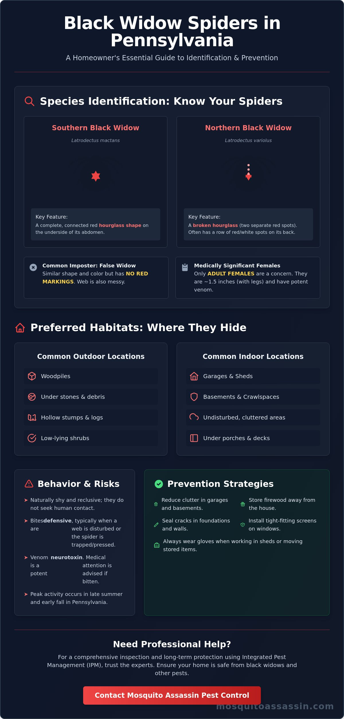 Black Widow Spiders in Pennsylvania: Identification and Prevention Guide