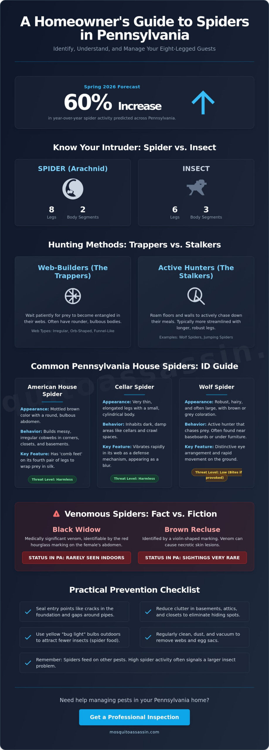 How to Identify Common House Spiders in PA: A Homeowner’s Guide