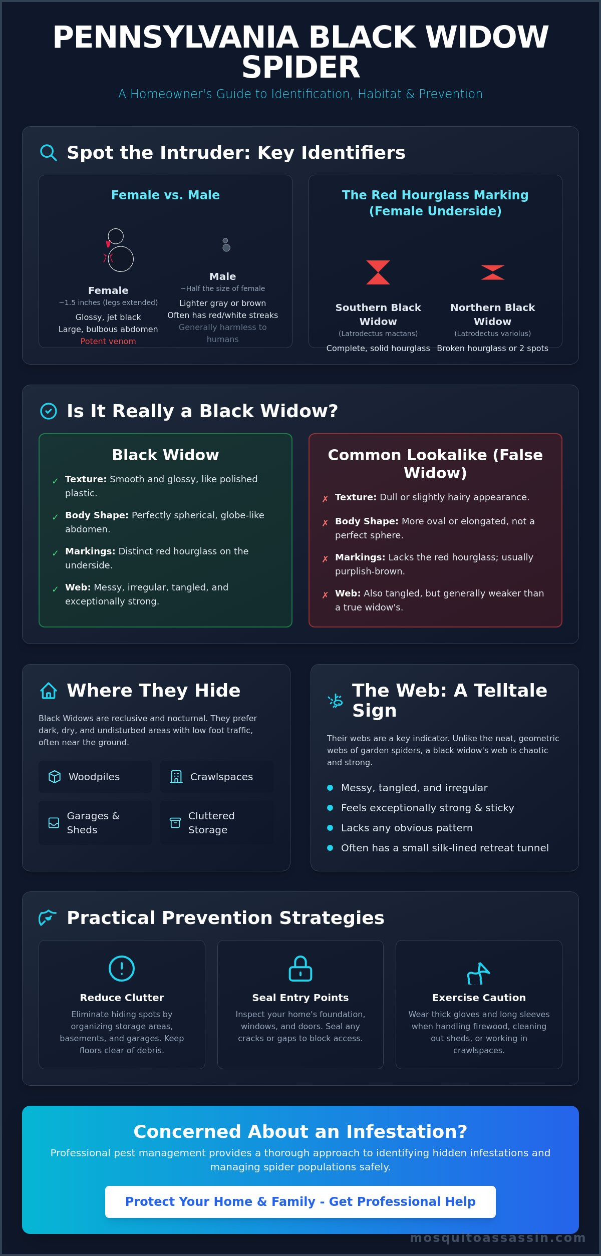 Pennsylvania Black Widow Spiders: Identification, Habitat, and Safety Guide