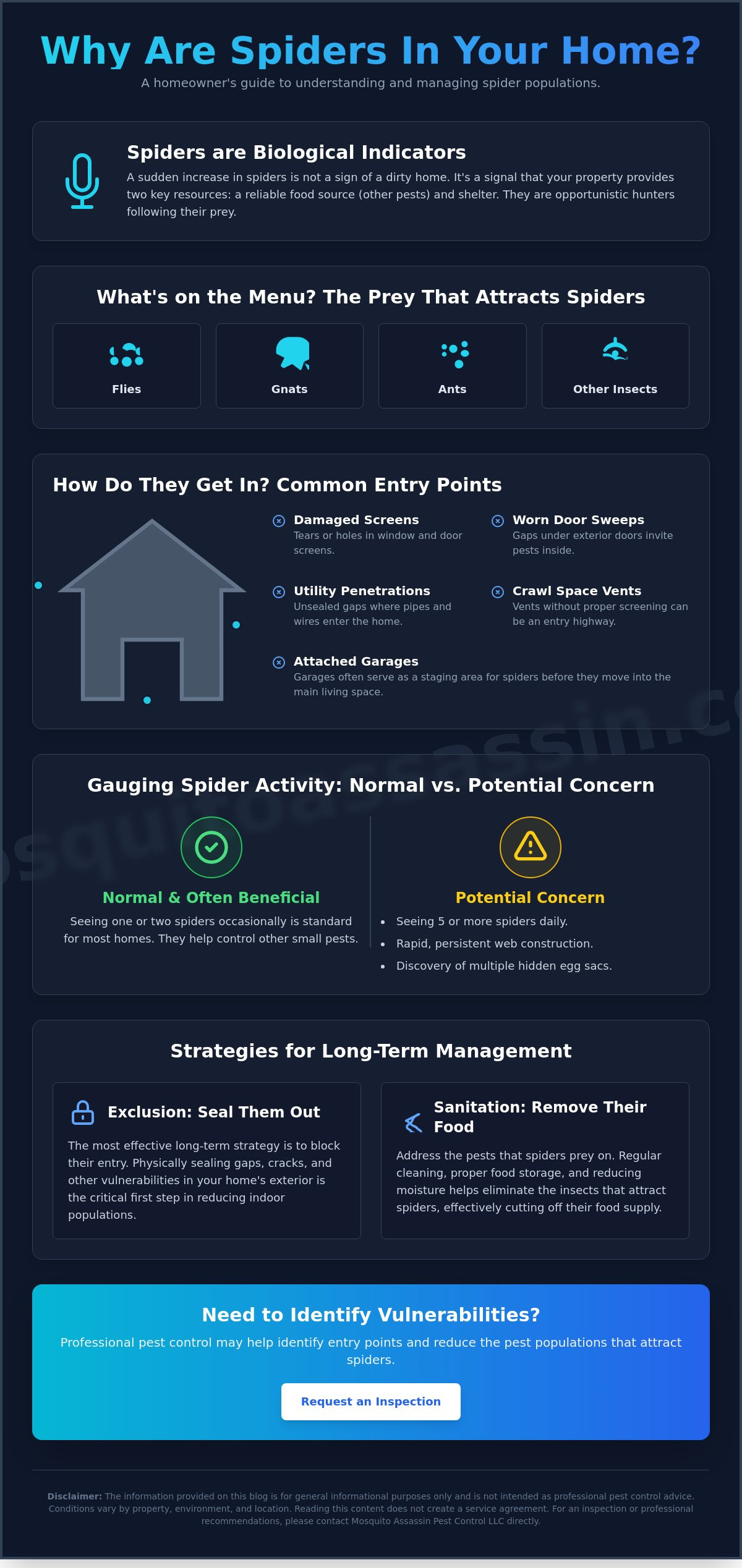 Why Do I Have So Many Spiders in My House? Causes and Solutions