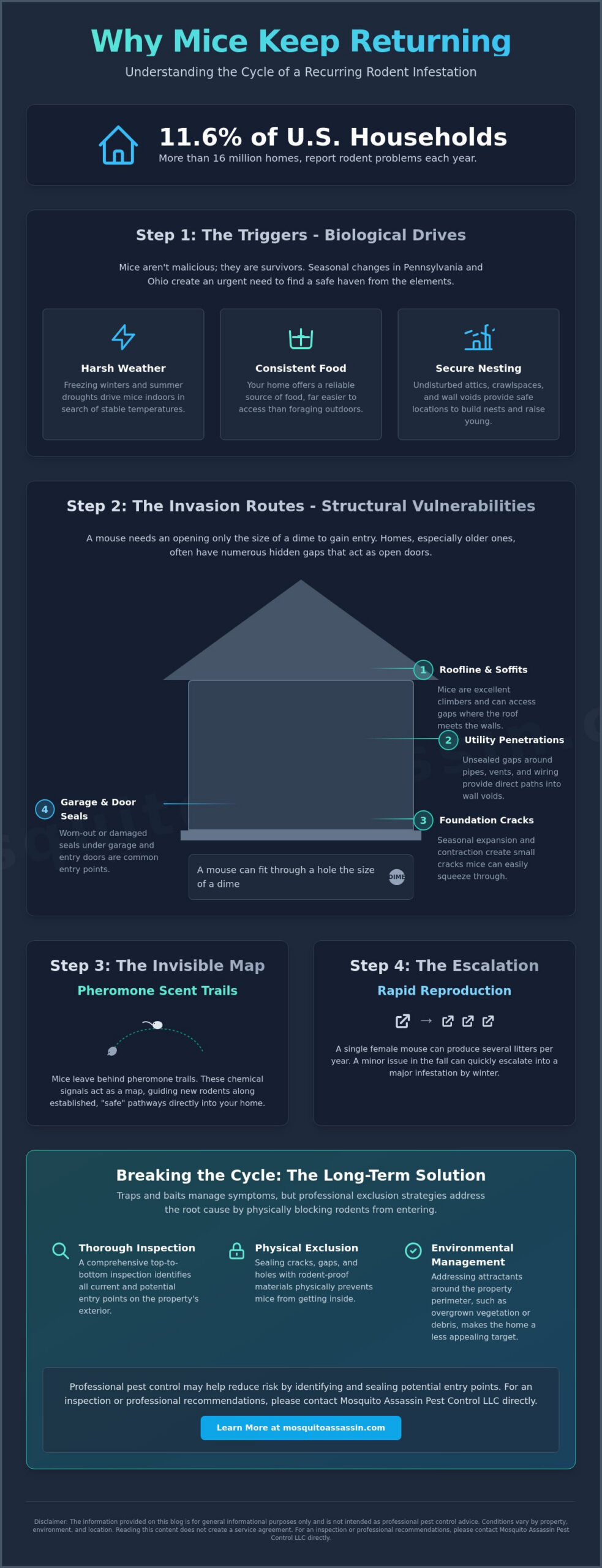 Why Do I Keep Getting Mice in My House? Understanding Recurring Infestations