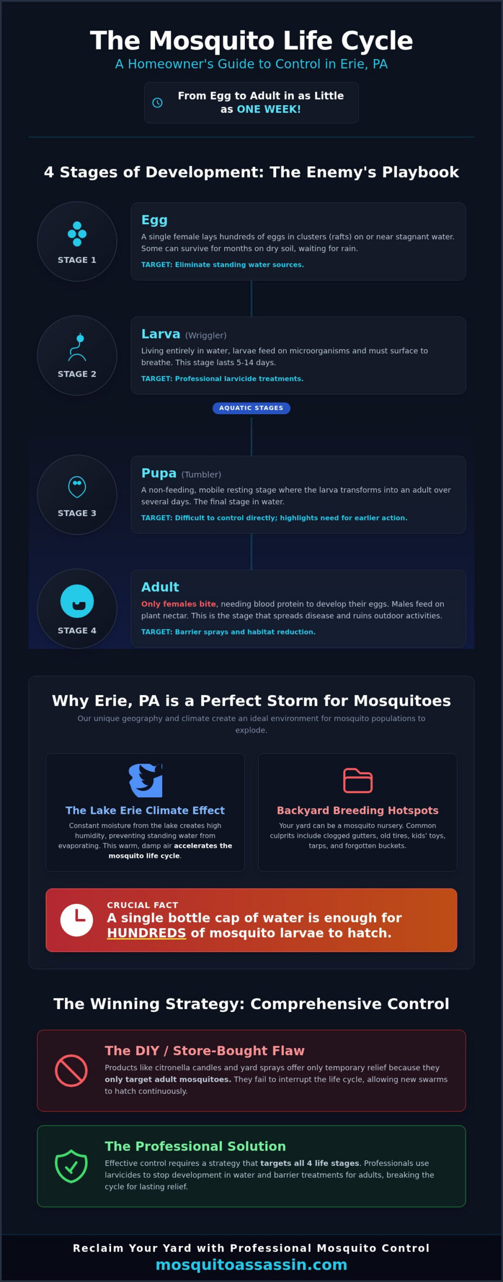 Mosquito Life Cycle and Control in Erie, PA: A Homeowner's Guide