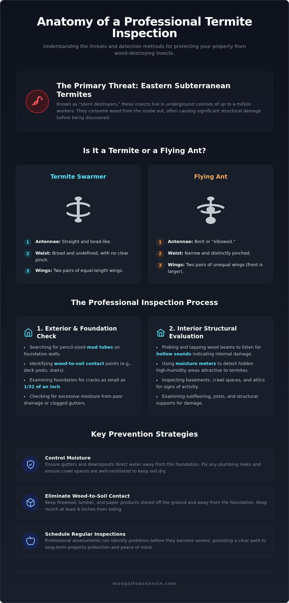Professional Termite Inspection in Crawford County: A Homeowner’s Guide