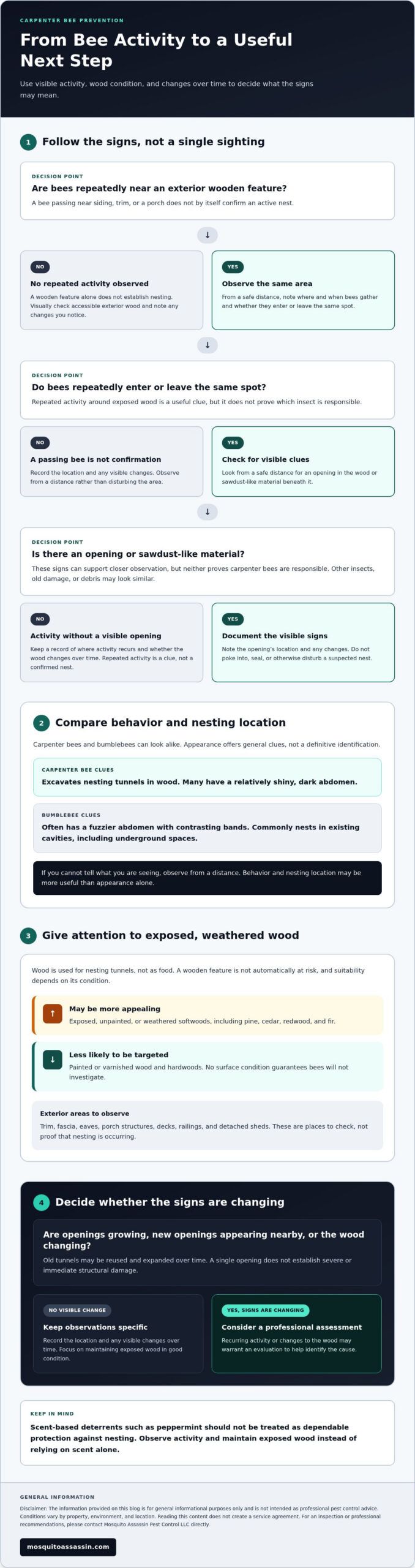 How to Keep Carpenter Bees Away From Your House: A Practical Prevention Guide